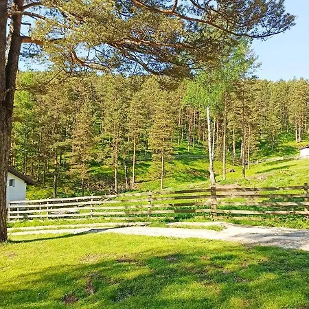 Kuca Za Odmor-aleksandra Divčibare