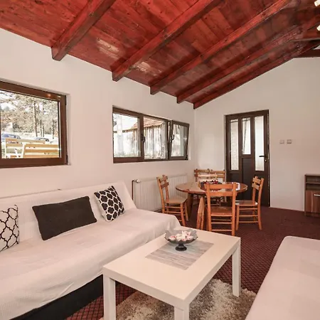 Kuca Za Odmor-aleksandra Divčibare