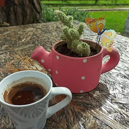 Kuca Za Odmor-aleksandra Casa de Férias Divčibare