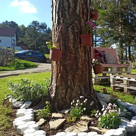 Kuca Za Odmor-aleksandra * Divčibare