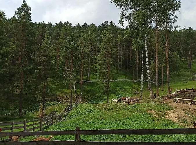 Kuca Za Odmor-aleksandra Casa de Férias