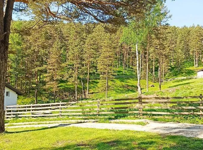 Kuca Za Odmor-aleksandra Divčibare