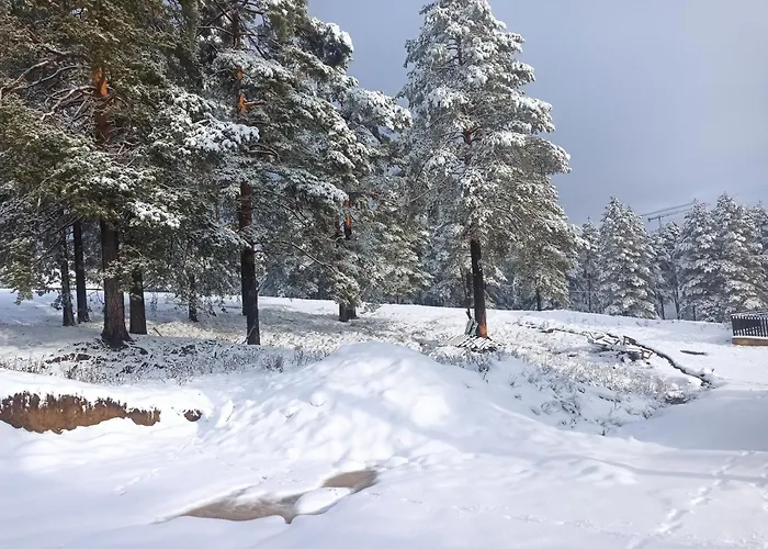 Casa de Férias Kuca Za Odmor-aleksandra *