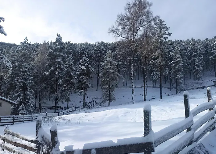 Nyaraló Kuca Za Odmor-aleksandra Divčibare