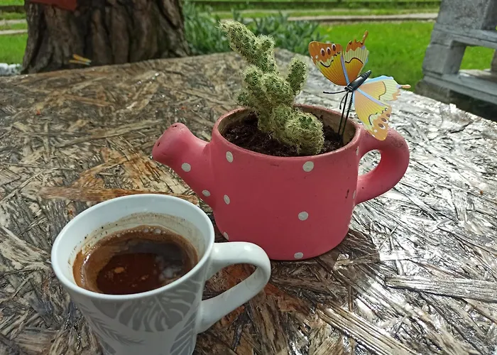 Kuca Za Odmor-aleksandra Casa de Férias Divčibare